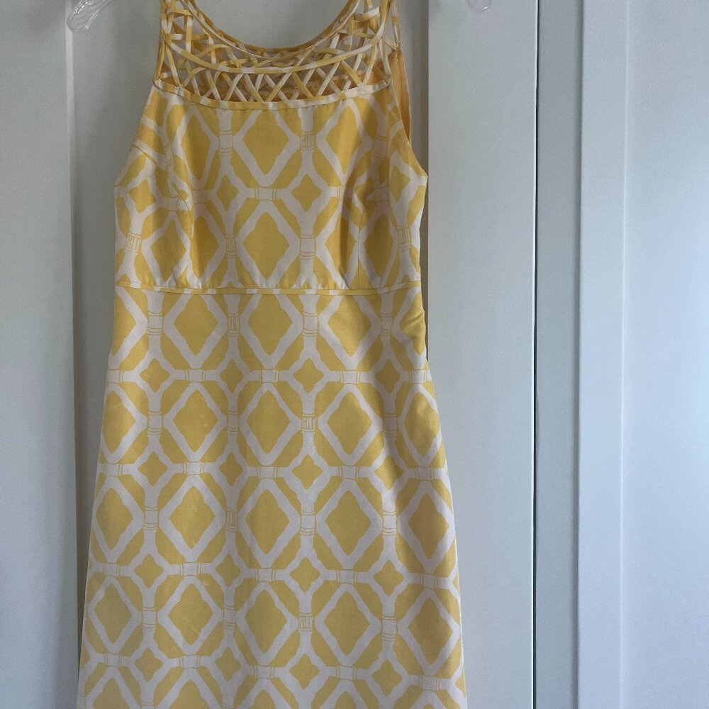 Lily Pulitzer silk and cotton shift